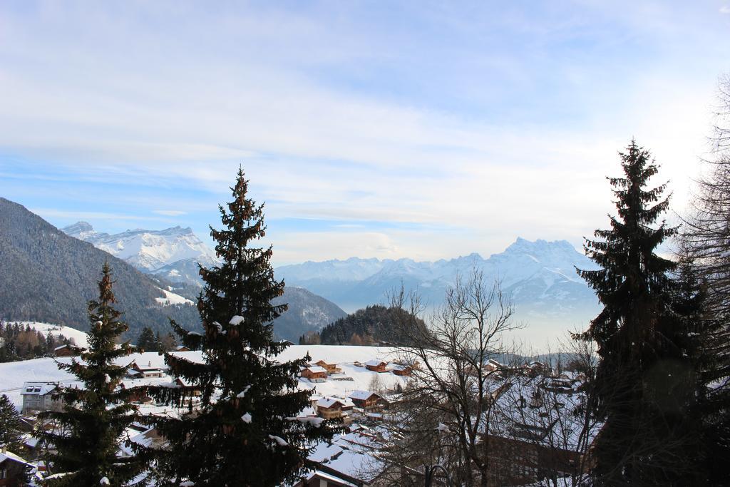 Les Frenes Apartment Leysin Ngoại thất bức ảnh